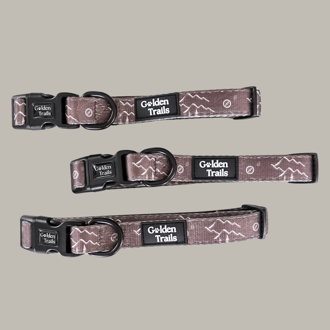 Braemar Adjustable Collar