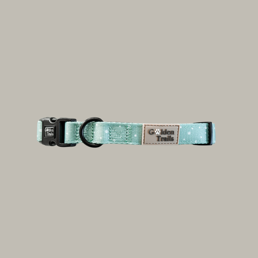 Tregirls Adjustable Collar