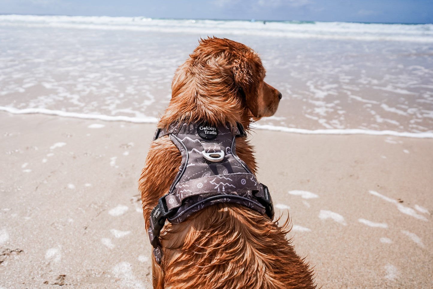 Braemar Adjustable Harness - Explorer Range