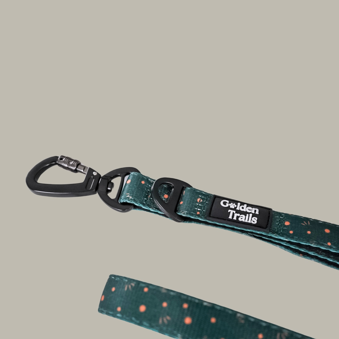 Kimora Explorer Lead