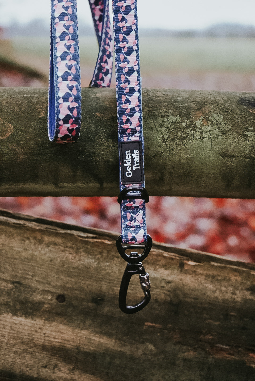 Manderley Explorer Lead