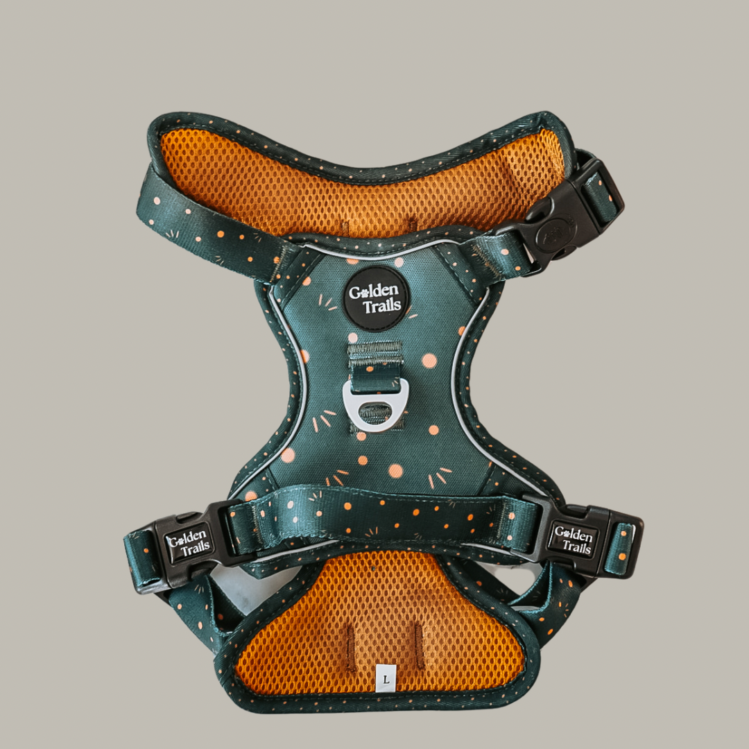 Kimora Adjustable Harness - Explorer Range