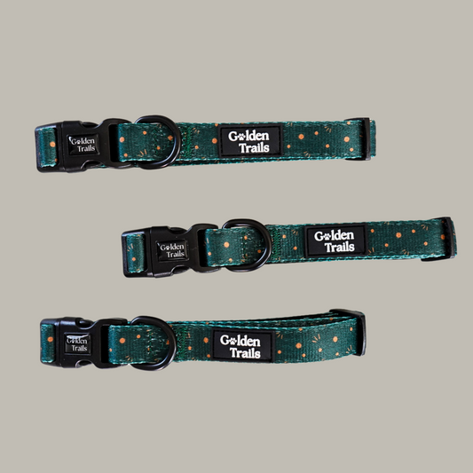 Kimora Adjustable Collar