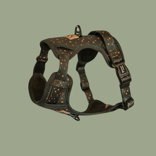 Kimora Adjustable Harness