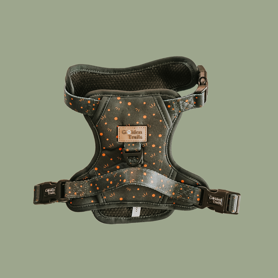 Kimora Adjustable Harness