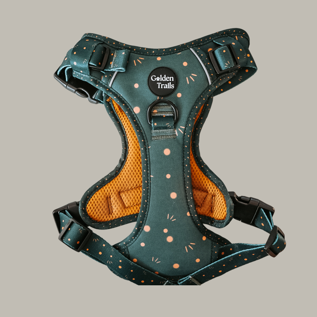 Kimora Adjustable Harness - Explorer Range