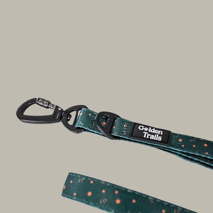 Kimora Explorer Lead
