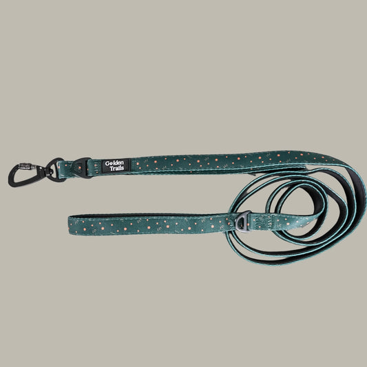 Kimora Explorer Lead