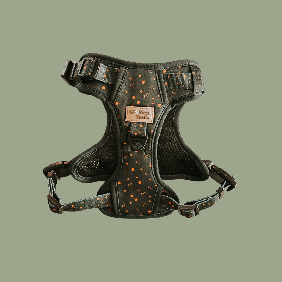 Kimora Adjustable Harness