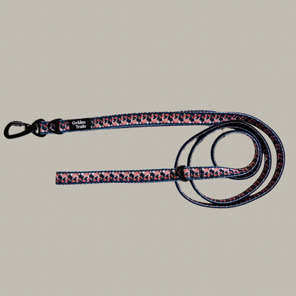 Manderley Explorer Lead