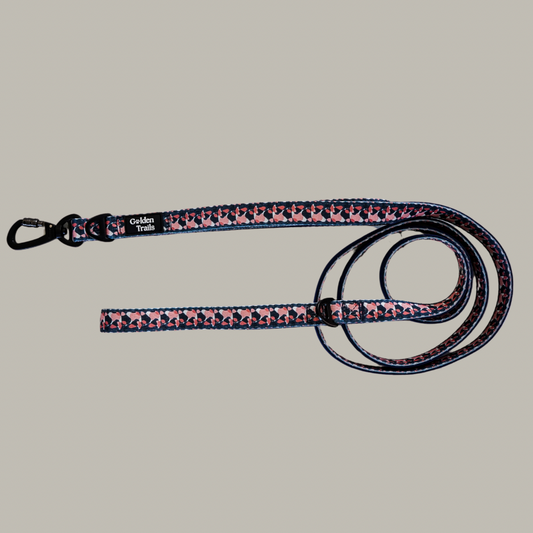 Manderley Explorer Lead