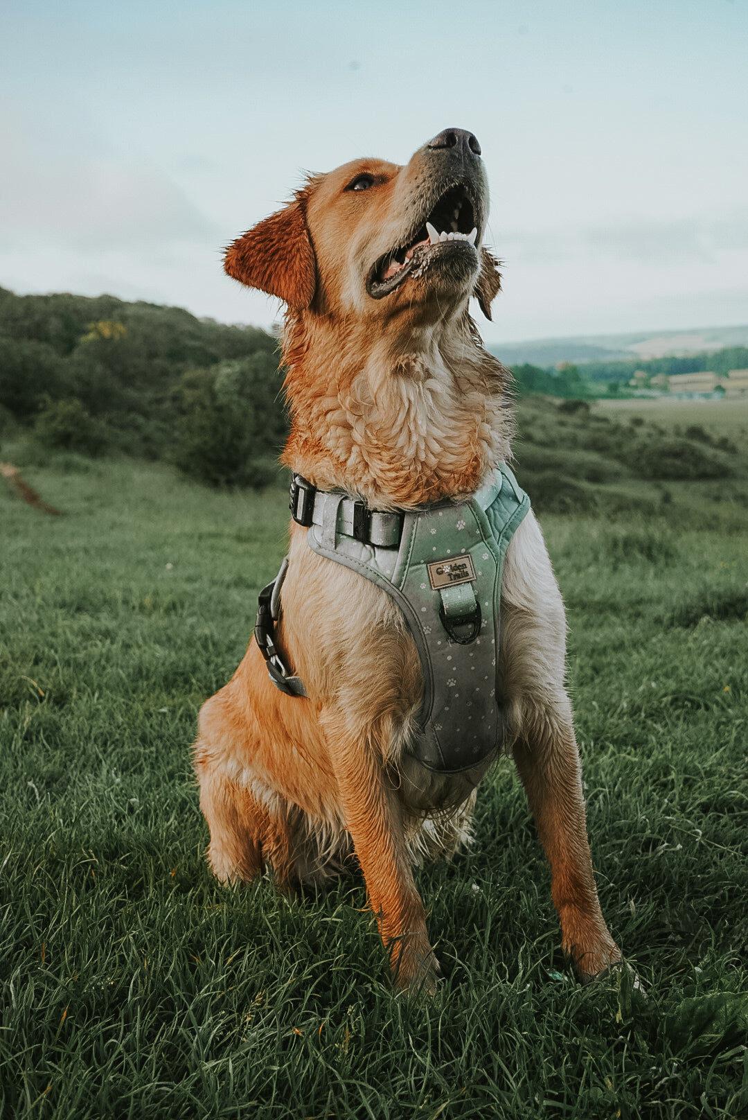 Tregirls Adjustable Harness