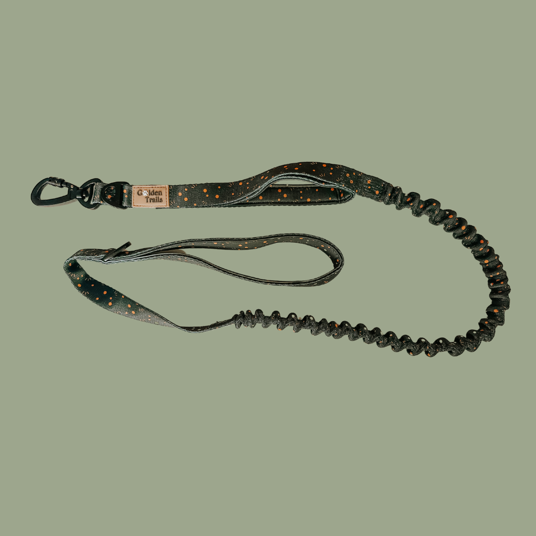 Kimora Bungee Lead